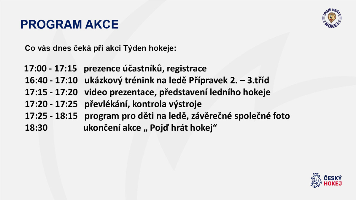 Program akce Týden hokeje