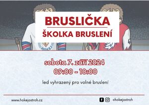 hokejostroh.cz