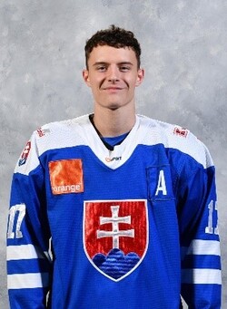 hokejostroh.cz
