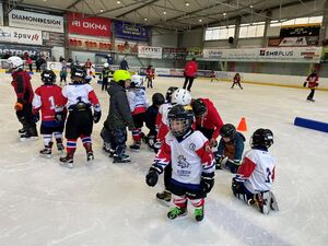 hokejostroh.cz