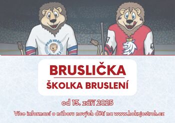 hokejostroh.cz