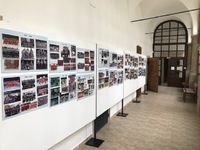 IMG 0274